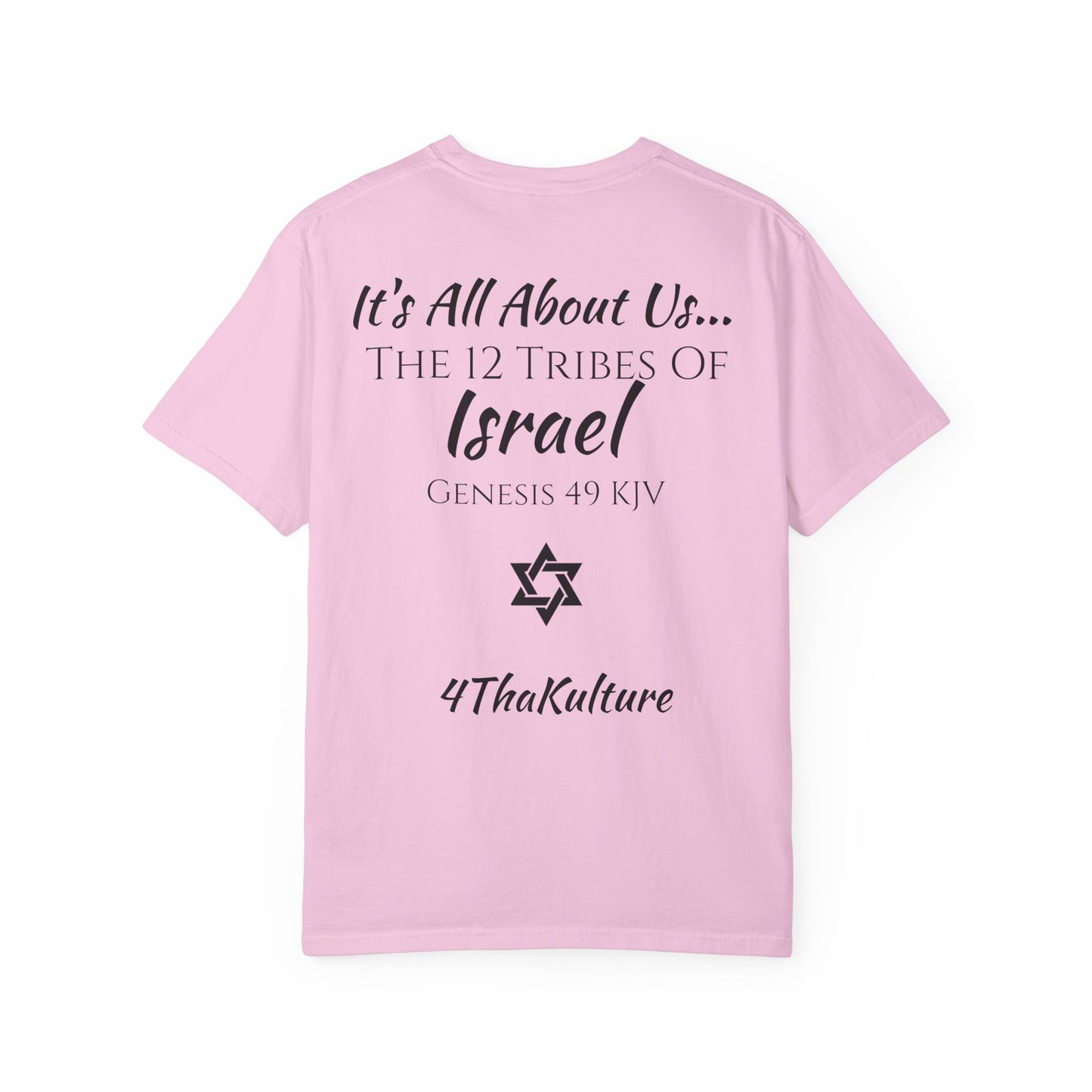 The Bible Is Our Story- Princess Tee